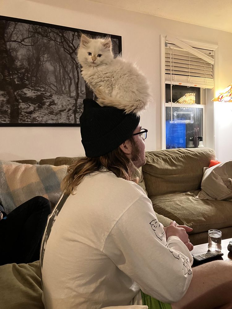 image-20230405151138-16