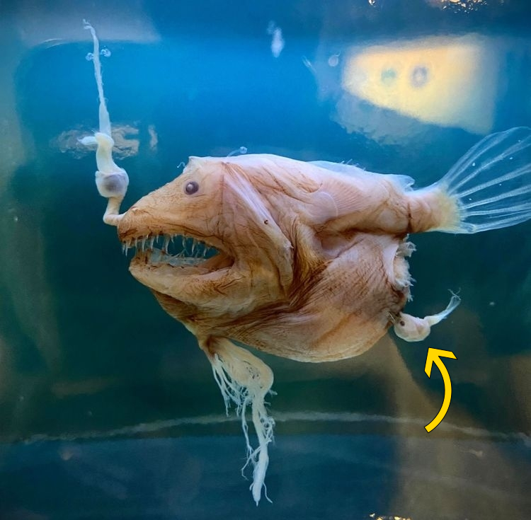 image-20230405161545-1