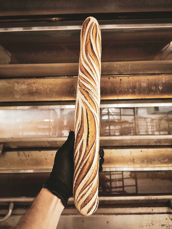 image-20230406130050-5