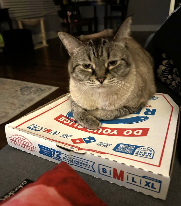 image-20230406142741-3