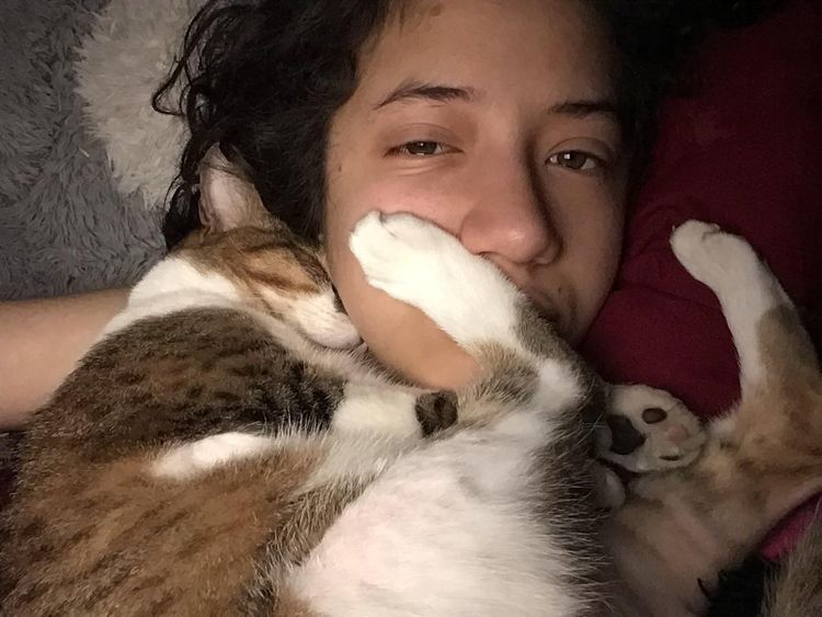 image-20230406142744-4