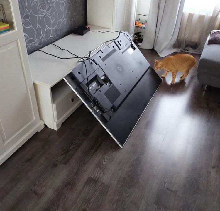 image-20230406142747-5