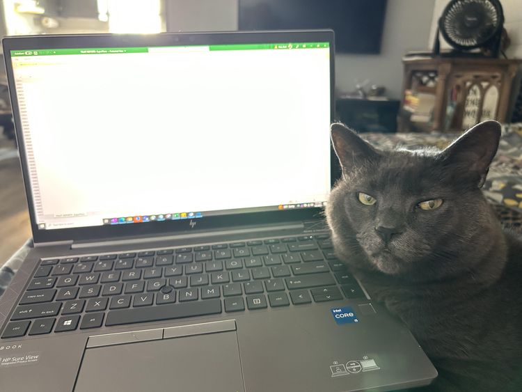 image-20230406142750-6