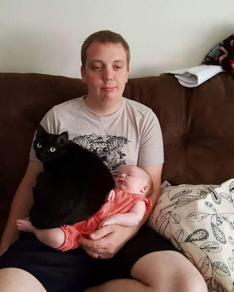 image-20230406142757-7