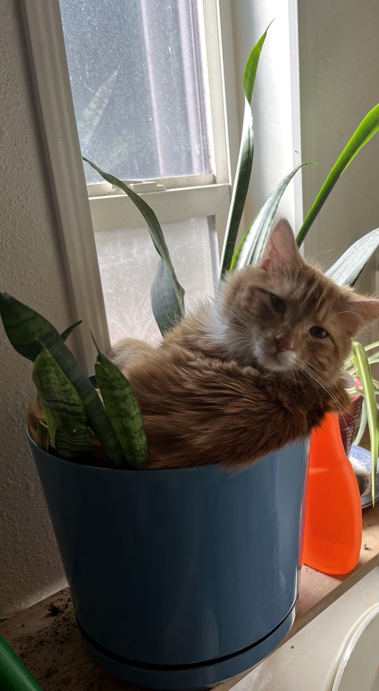 image-20230406142800-8