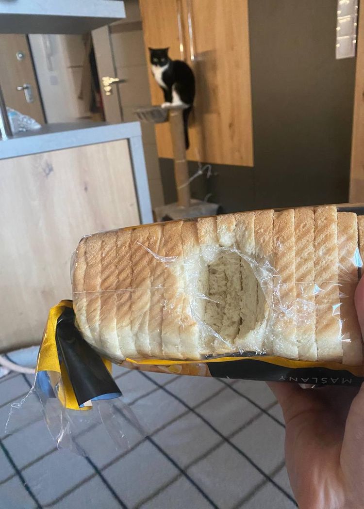 image-20230406142809-10