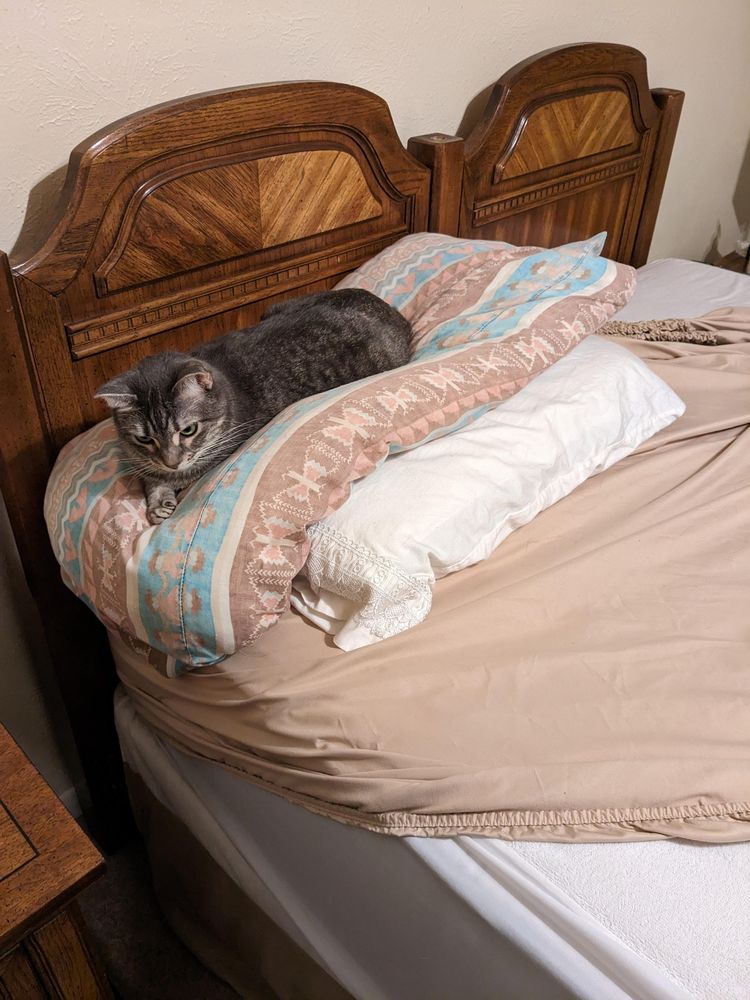 image-20230406142812-11