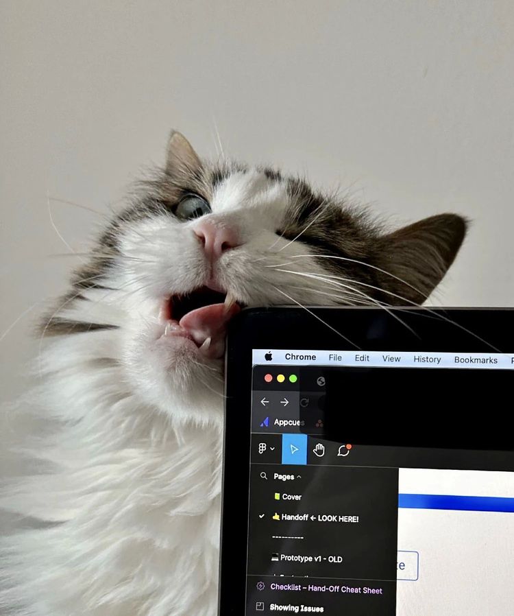 image-20230406142815-12