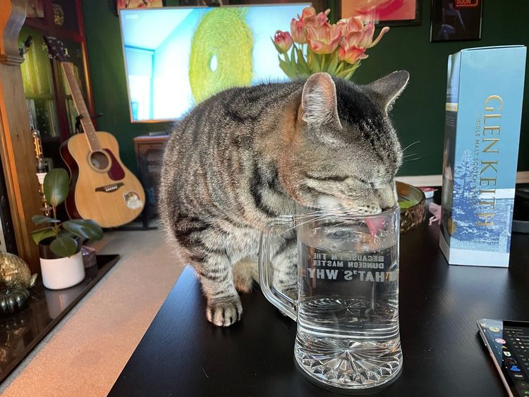 image-20230406142822-14