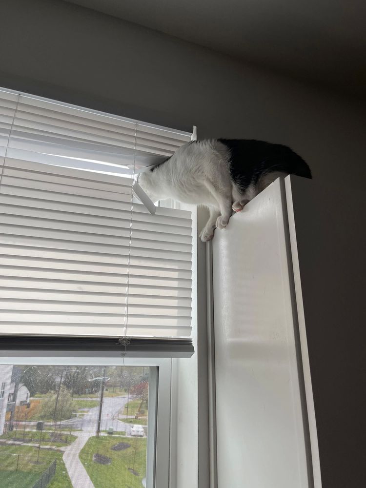 image-20230406142826-15