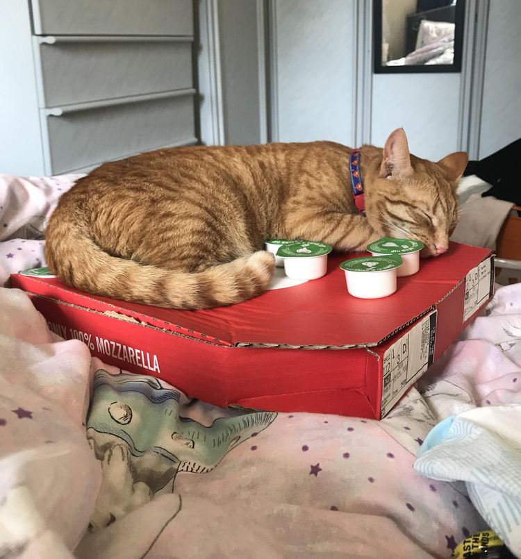 image-20230406142829-16