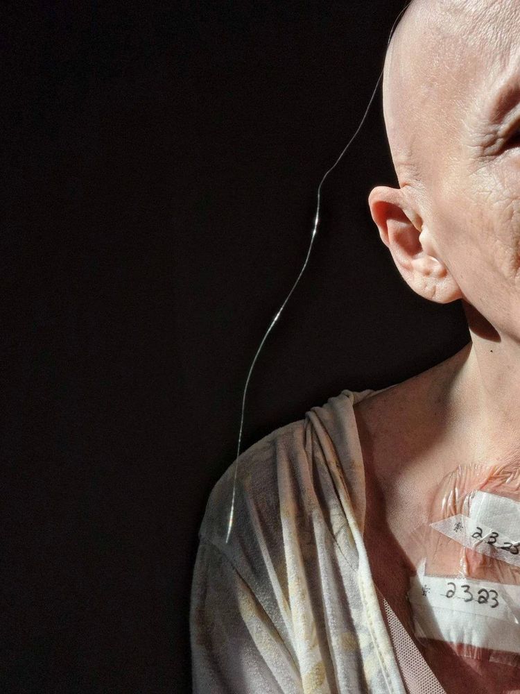 image-20230406175619-2