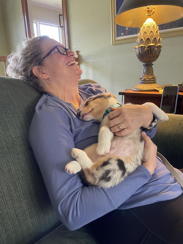 image-20230406175652-12