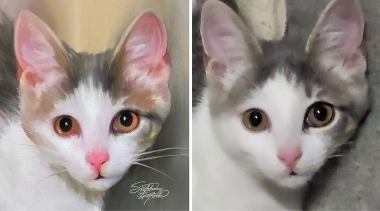 image-20230406175656-13