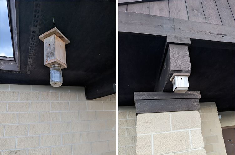 image-20230410164258-1