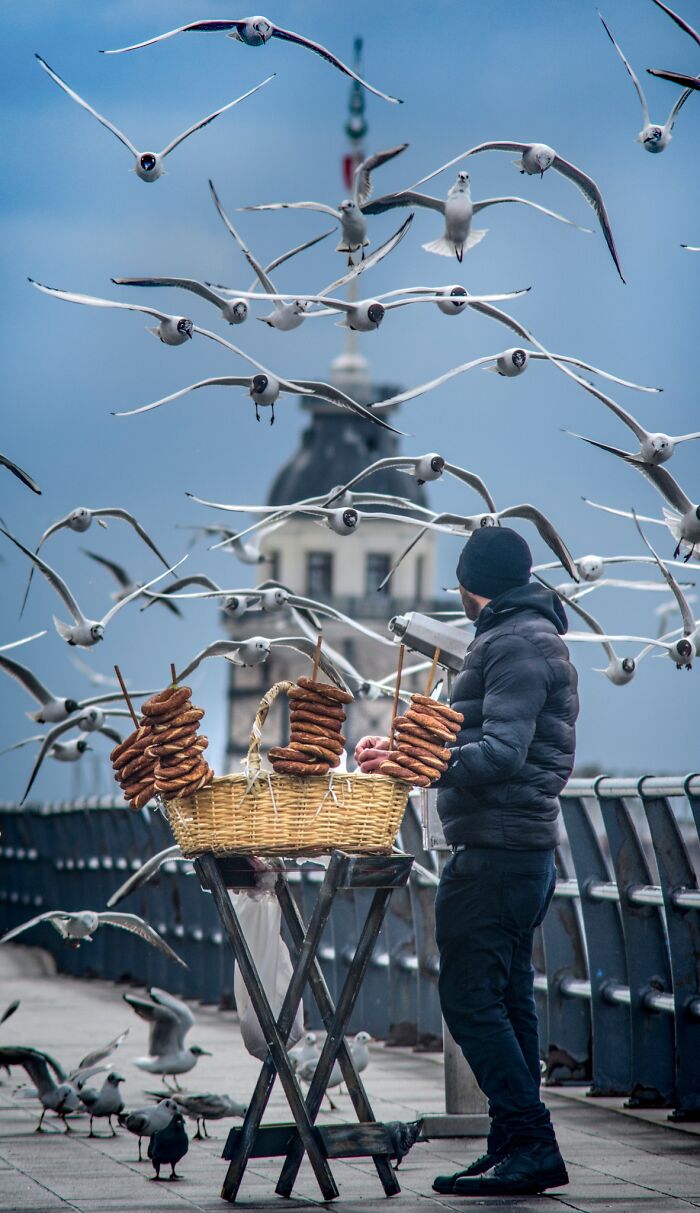 image-20230411125203-2