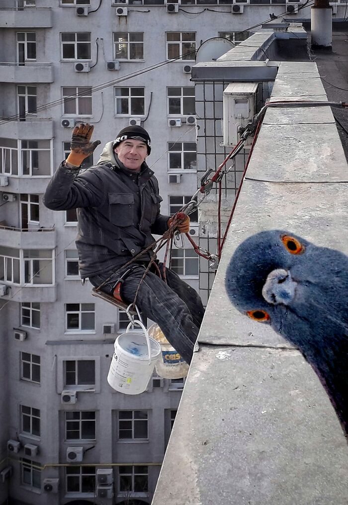 image-20230411125212-5