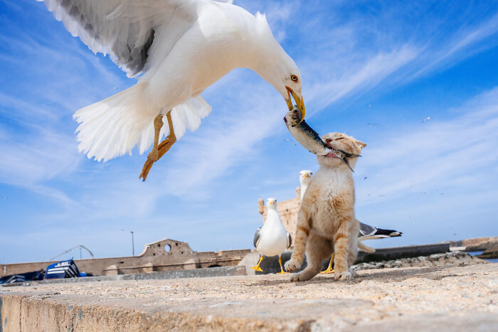 image-20230411125214-6