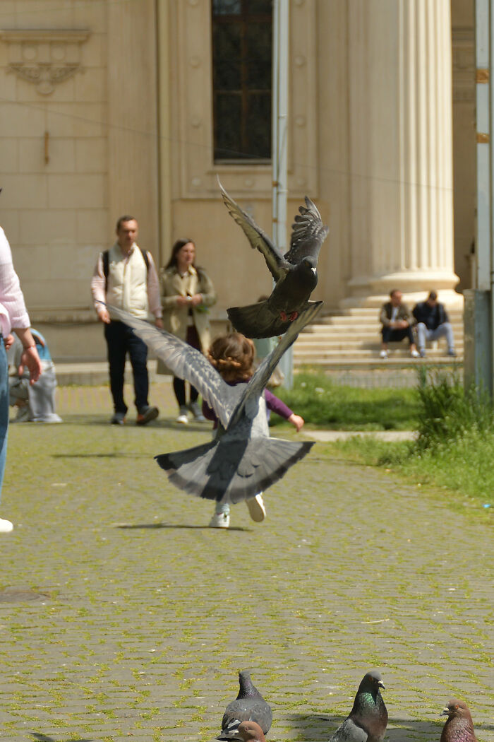 image-20230411125248-15