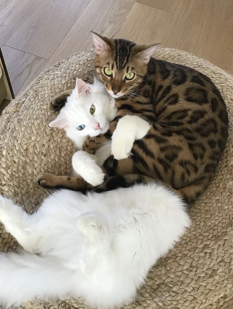 image-20230411142428-2