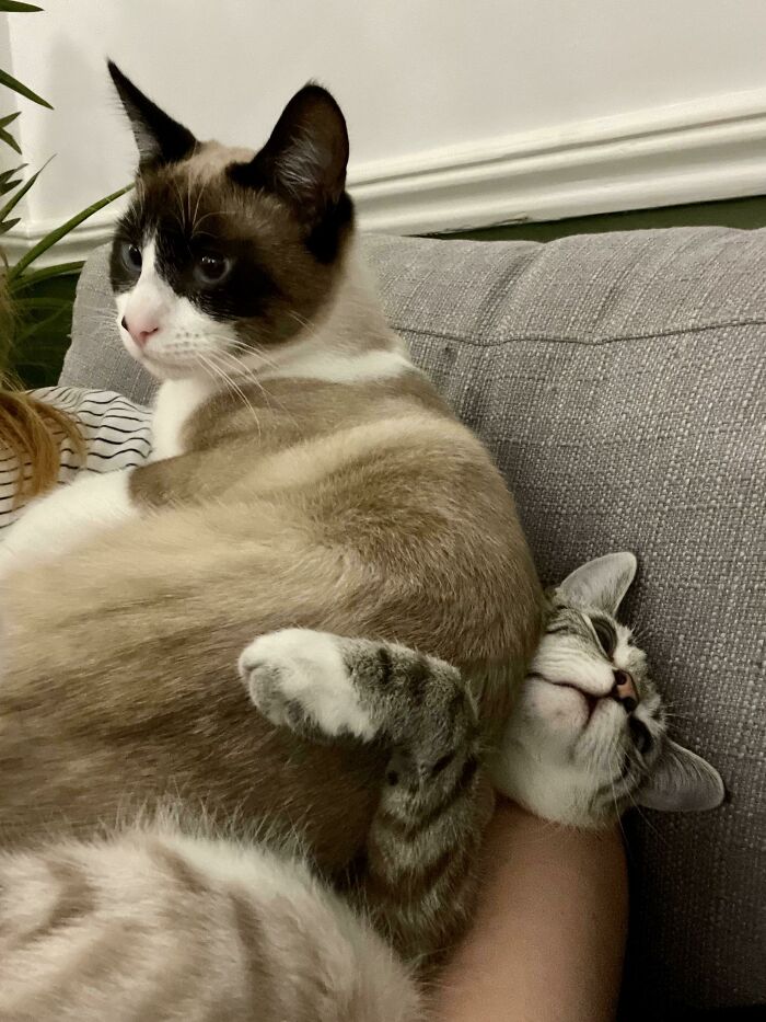 image-20230411142430-3