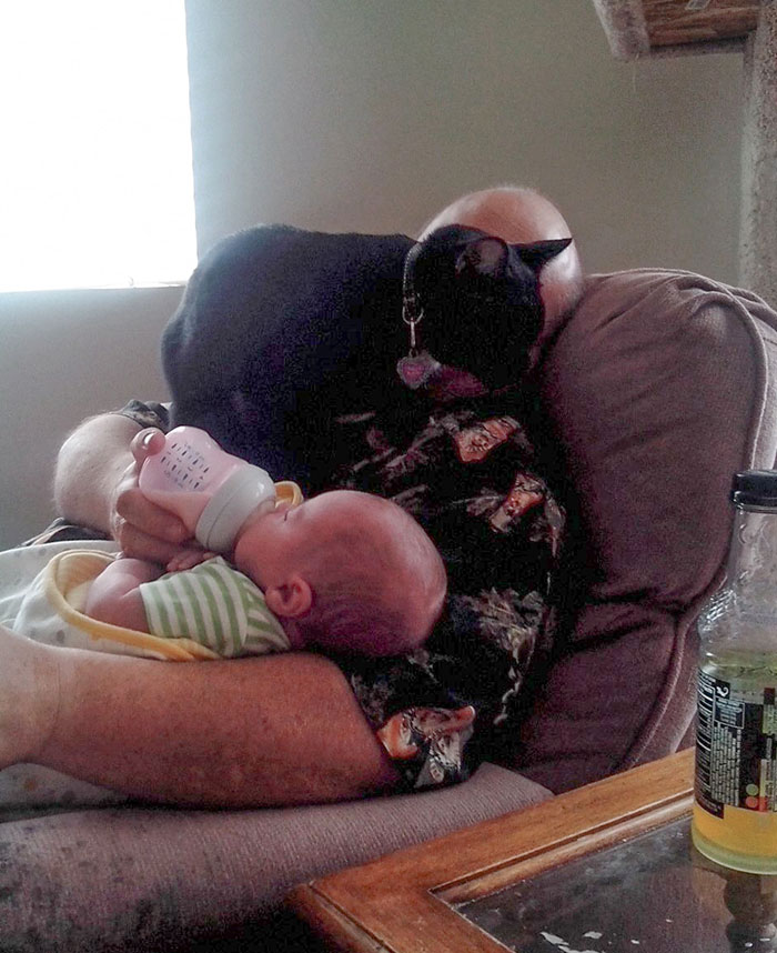 image-20230411142434-4