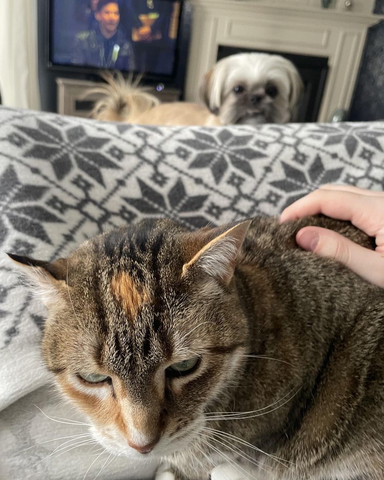 image-20230411142457-6