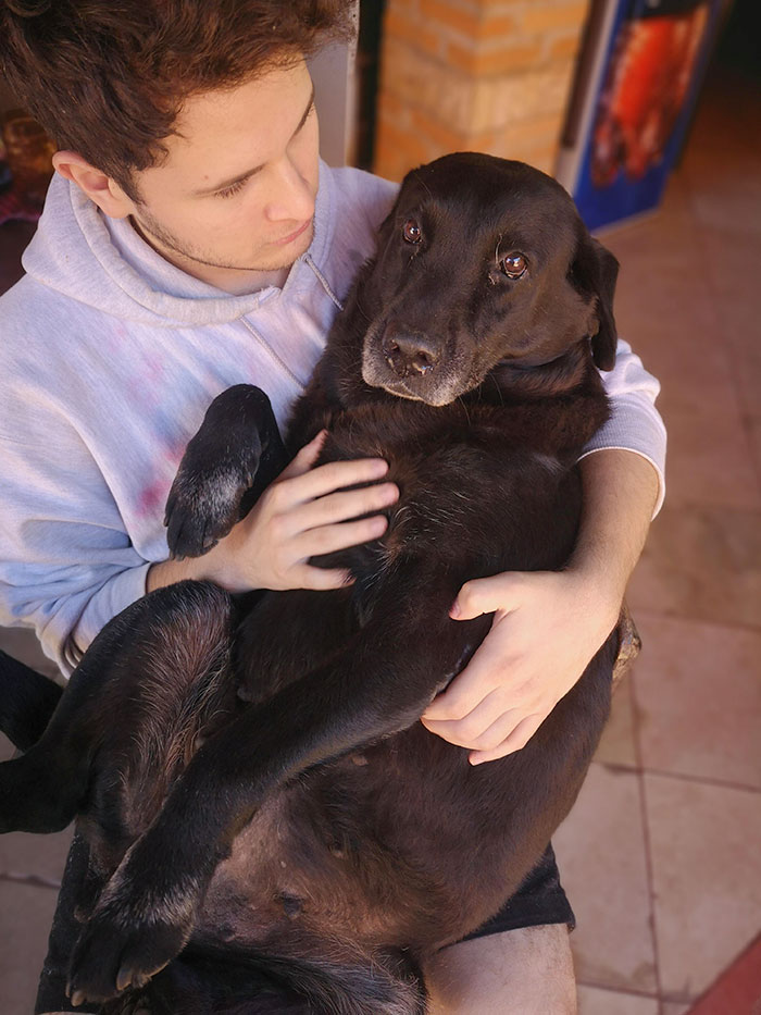 image-20230411142530-15