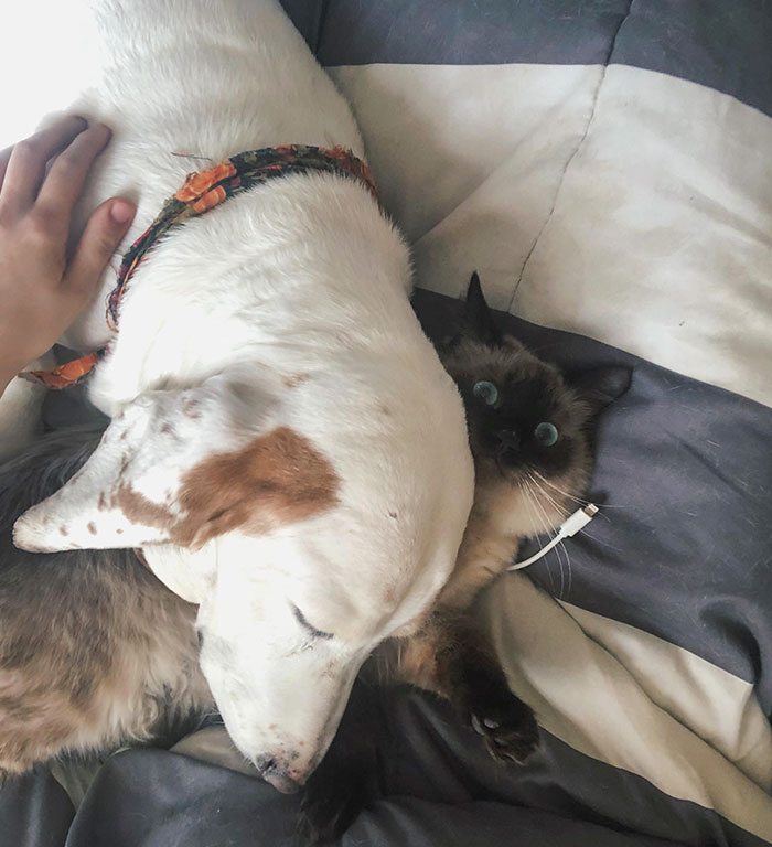 image-20230411142538-17