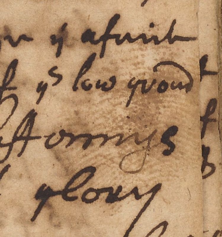 image-20230411164602-8