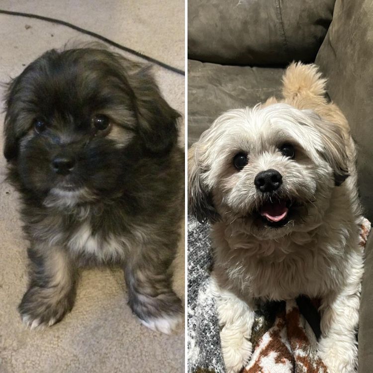 image-20230412171354-12