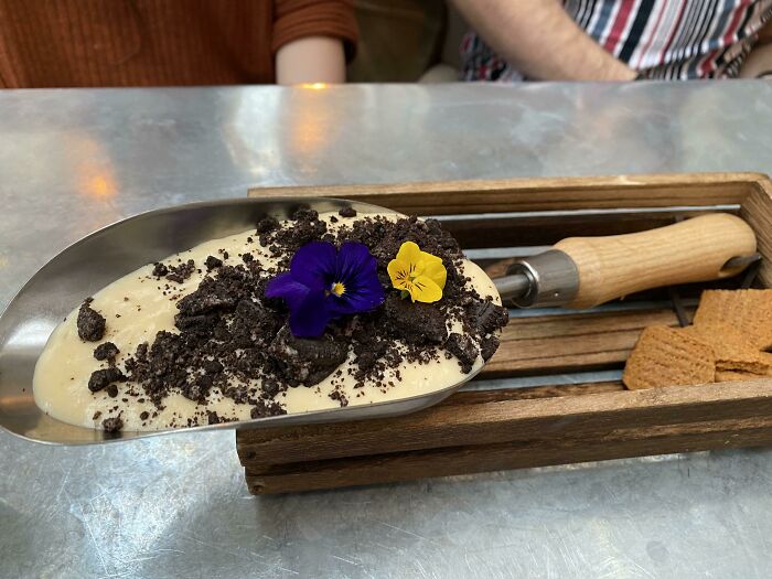 image-20230413115433-10