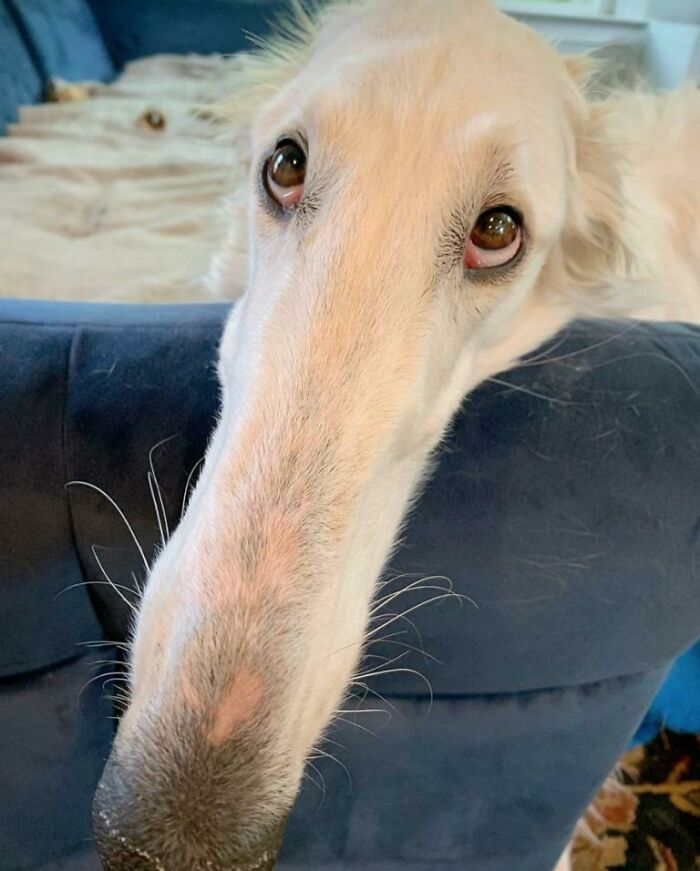 image-20230413154519-5