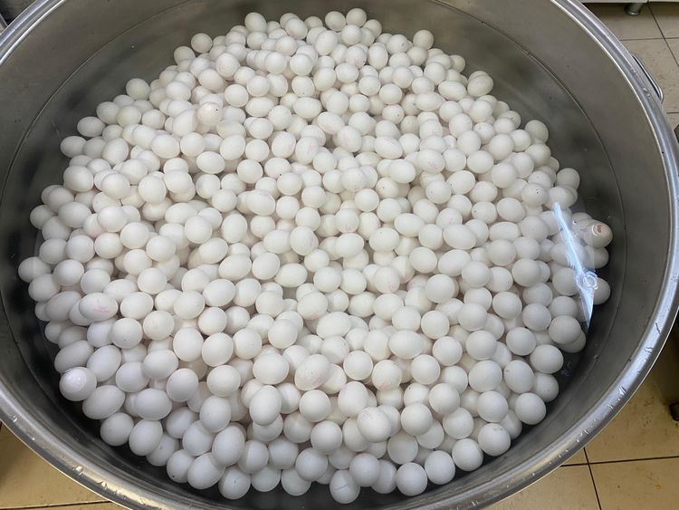 image-20230413154522-6