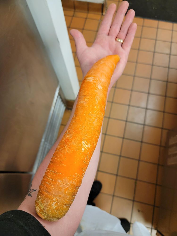 image-20230413154525-7