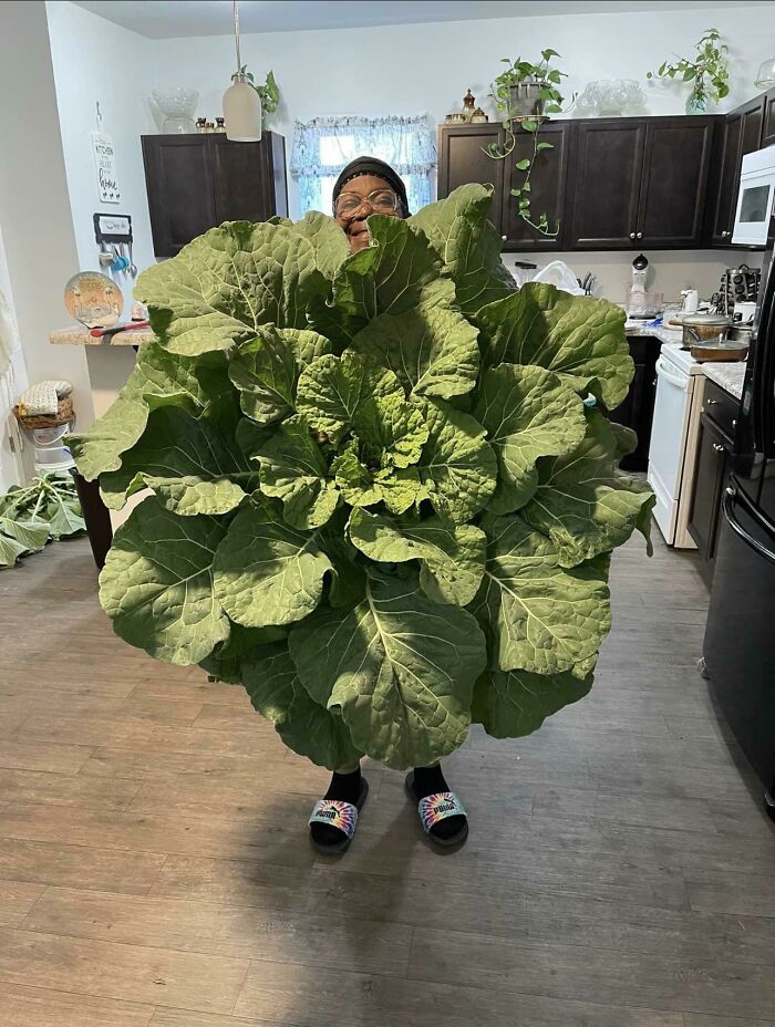 image-20230413154542-12