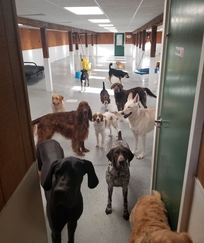 image-20230413182324-2