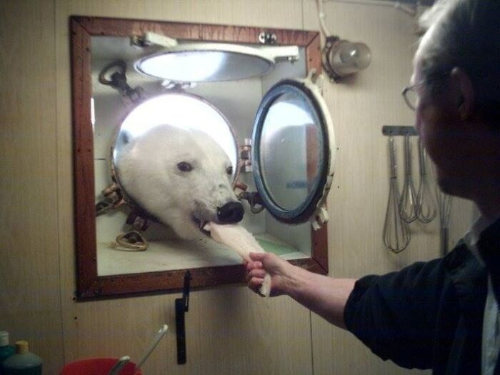 image-20230413182327-3