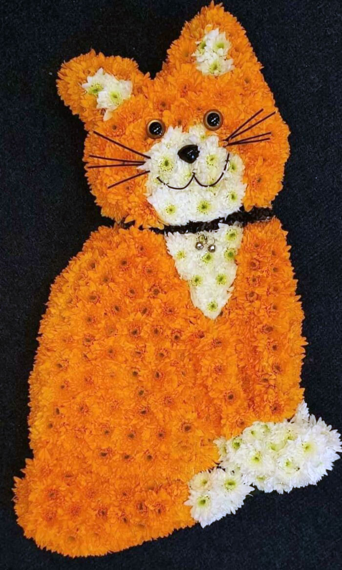 image-20230413182336-6