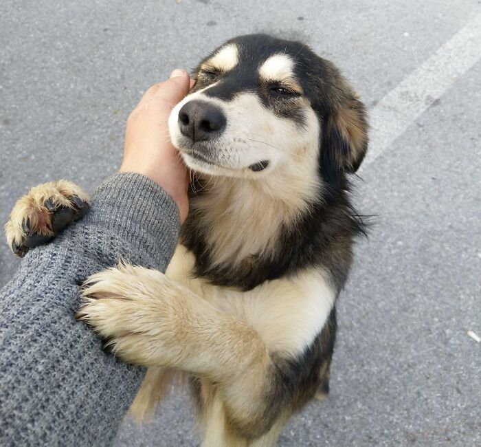 image-20230413182354-12