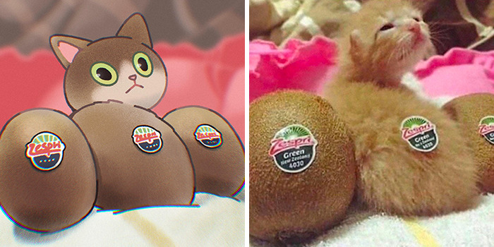 image-20230417110007-17