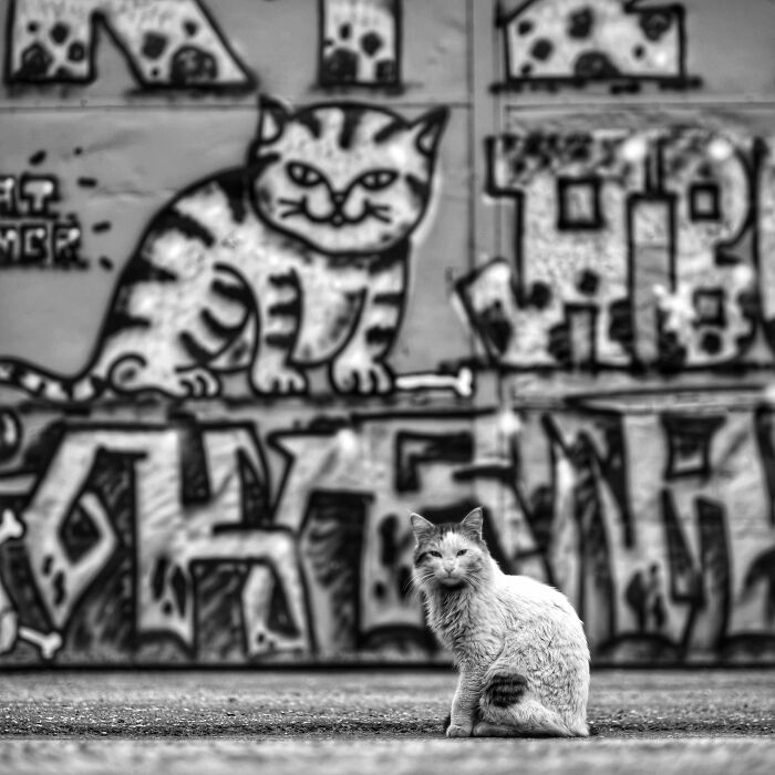 image-20230417130751-1