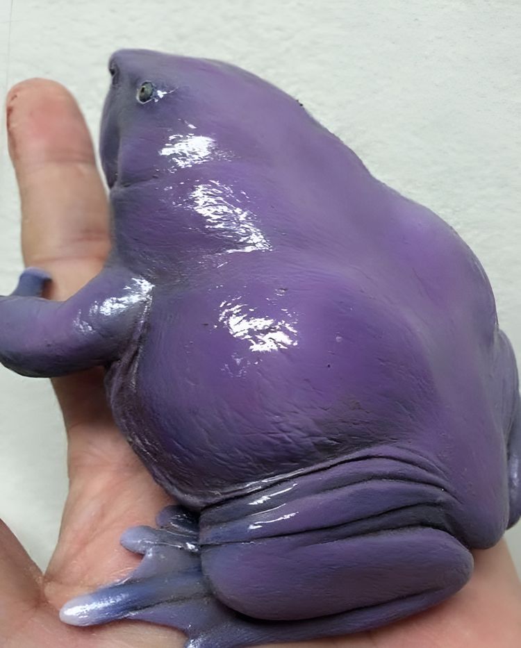 image-20230417202922-7