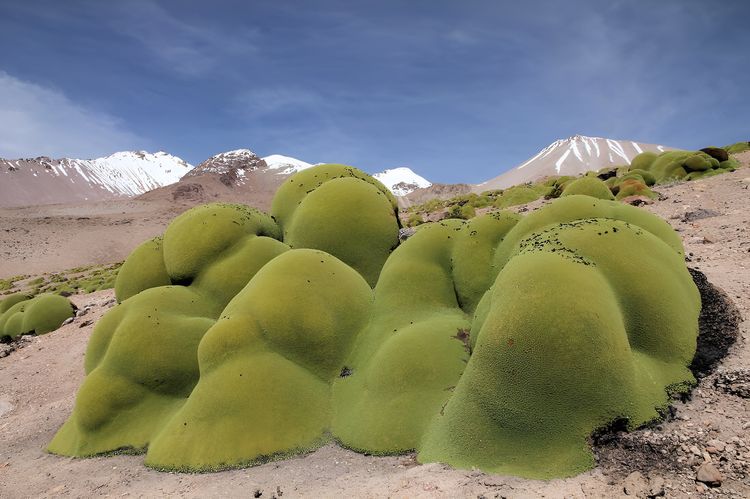 image-20230417202934-8