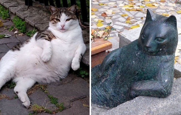 image-20230417203049-10