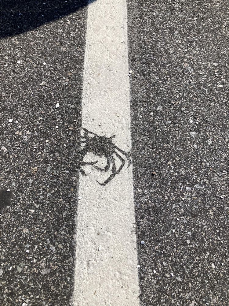 image-20230417203052-11