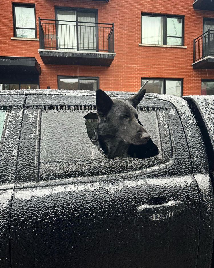 image-20230417203203-16