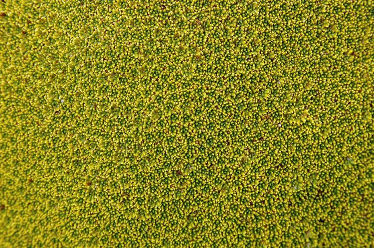 image-20230418143817-1