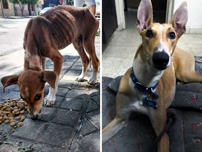 image-20230418151823-3