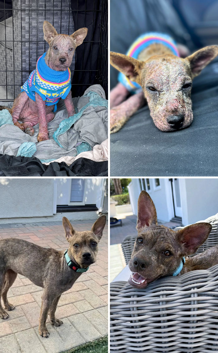 image-20230418151843-8